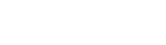 Логотип партнёра