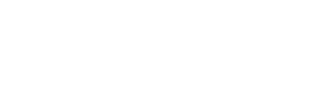 Партнёр 1