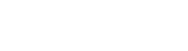 Партнёр 5